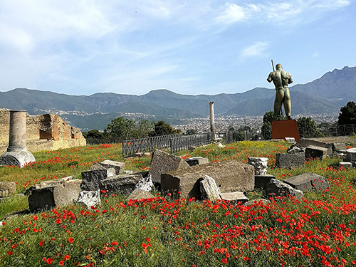 Naples Pompeii Cruise Excursion Cost
