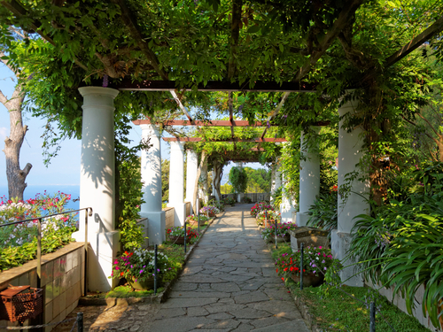 Naples Piazzetta Capri Island Excursion Reviews