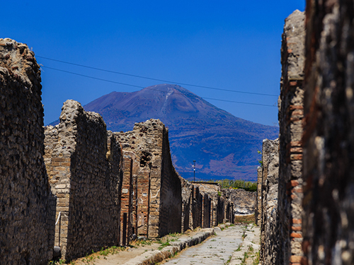 Naples Pompeii Walking Excursion Booking