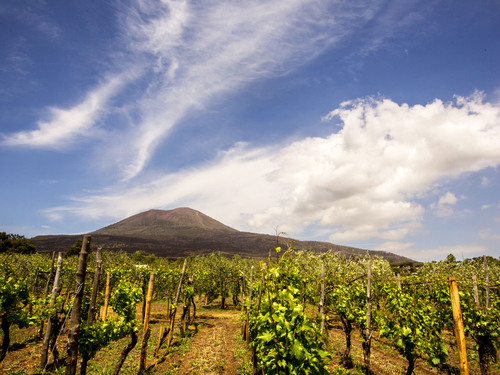 Naples Private Pompeii Ruins with Winery Visit Excursion