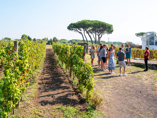 Naples Private Pompeii Ruins with Winery Visit Excursion