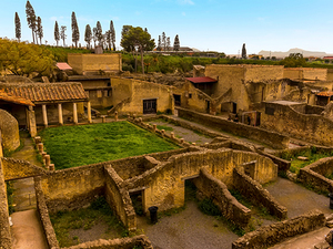 Naples Shuttle to Mt. Vesuvius and Herculaneum Excursion