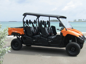 Nassau Buggy Island Highlights Excursion with Lunch