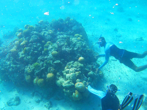 Nassau Kayaking, Snorkel, and Beach Escape Excursion