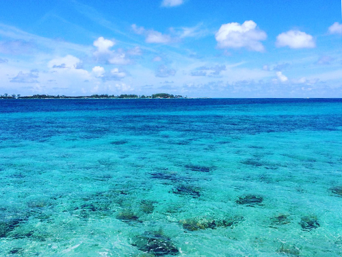 Nassau Paradise Island Snorkel Excursion Reviews