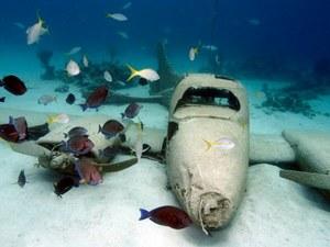 Nassau Reef, Shipwreck and Movie Site Snorkel Excursion by Boat