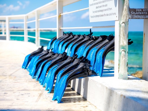Nassau Sandy Beach Shore Excursion Cost