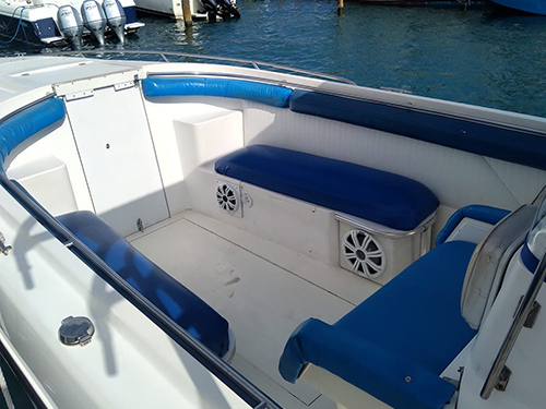 Nassau Thrill Seekers Powerboat and Snorkel Excursion