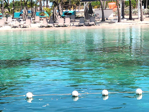 Nassau Thrill Seekers Powerboat and Snorkel Excursion