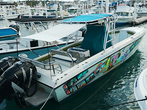 Nassau Thrill Seekers Powerboat and Snorkel Excursion