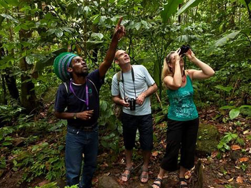 St. Lucia (Castries) nature trail Tour Reservations