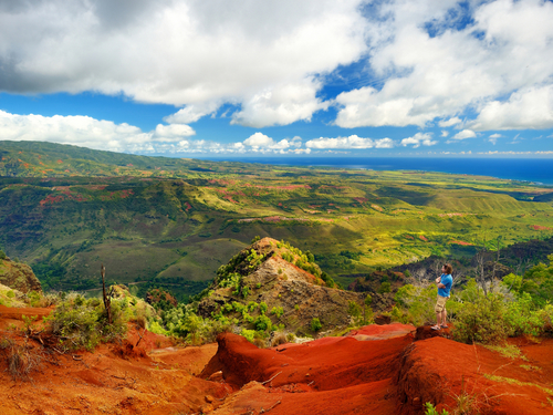 Nawiliwili - Kauai Grand Waimea Canyon Sightseeing Cruise Excursion Booking
