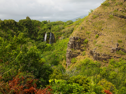 Nawiliwili - Kauai Hanalei Valley Cruise Excursion Reservations
