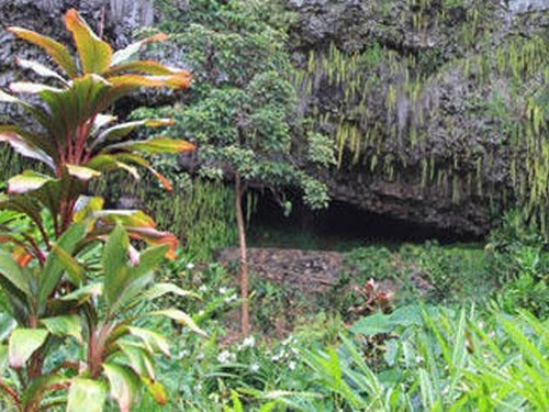 Kauai (Nawiliwili) Wailua River Trip Reservations