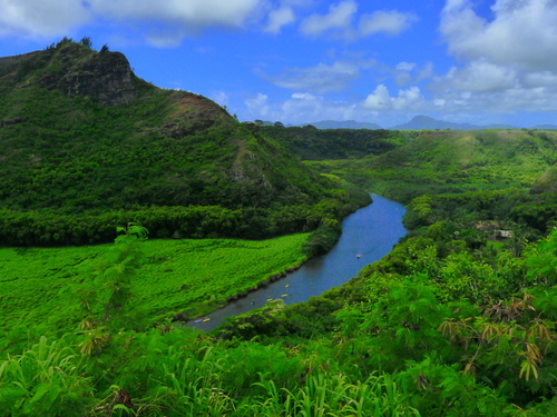 Kauai (Nawiliwili) Wailua River Cruise Excursion Reviews