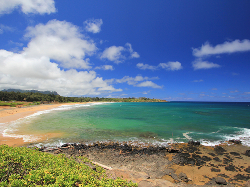 Nawiliwili Kauai  Shore Excursion Reviews