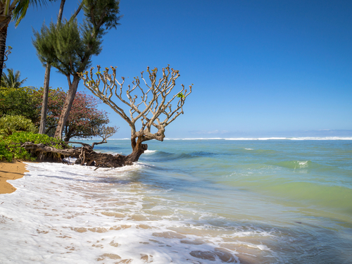 Nawiliwili Kauai Anini Beach Shore Excursion Reviews