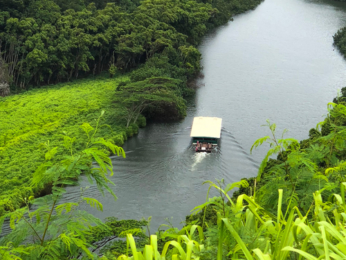 Kauai (Nawiliwili) Wailua River Tour Booking