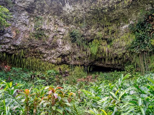 Kauai (Nawiliwili) Kauai Canyon Excursion Reservations