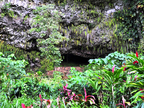Kauai (Nawiliwili) waterfall Tour Cost