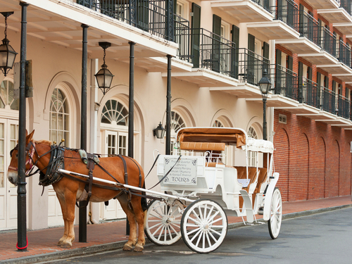 New Orleans Tulane and Loyola Universities Shore Excursion Booking