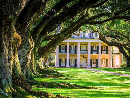 New Orleans  Louisiana / USA Old Plantation Excursion Reviews