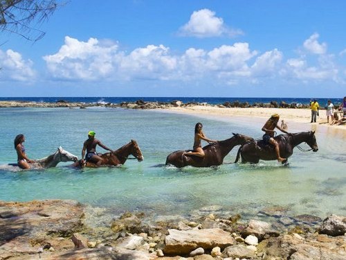 Ocho Rios  Jamaica swim with horses Reservations