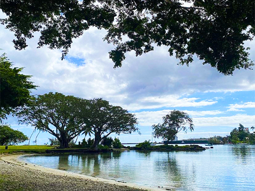 Hilo richardson beach Tour Reservations
