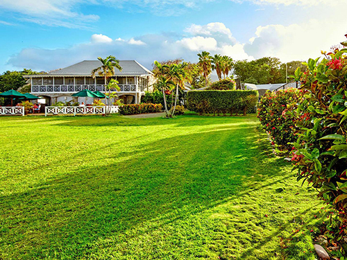StBasseterre boat Trip Reviews