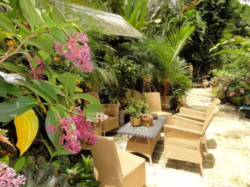 Barbados  West Indies (Bridgetown) Hunte's Gardens Tour