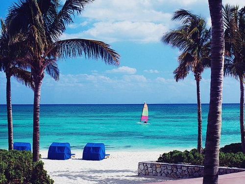 Freeport Bahamas beach parasailing Trip Tickets