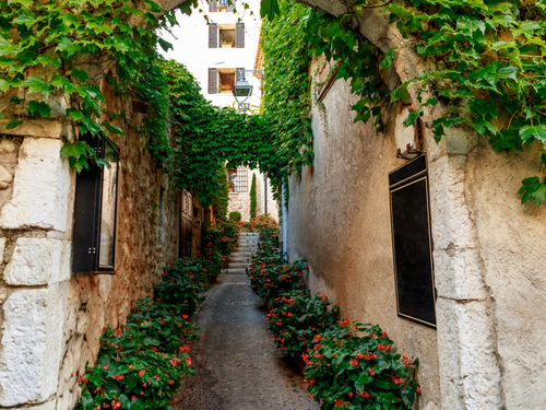 Nice (Villefranche) Eze Excursion Reviews