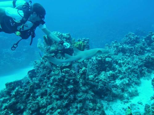 Grand Cayman George Town scuba Trip Booking