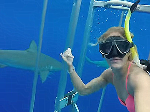 Oahu Honolulu Shark Cage Excursion