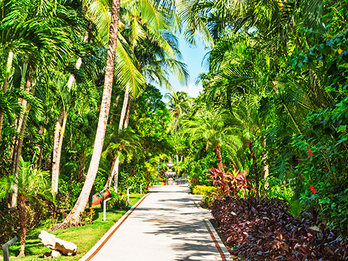  Occidental Cozumel Beach Resort Day Pass Excursion