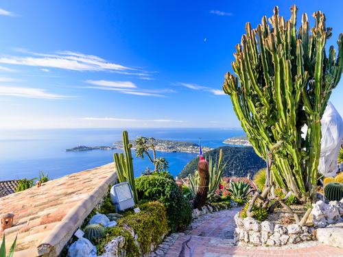 Nice (Villefranche) Monaco Tour Cost