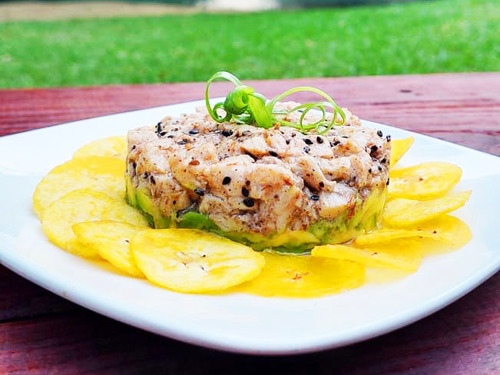 Jamaica Ocho Rios Blue Hole, Dunn's River Falls, Lunch and Cocktails at Reggae Hill Tour Reservations