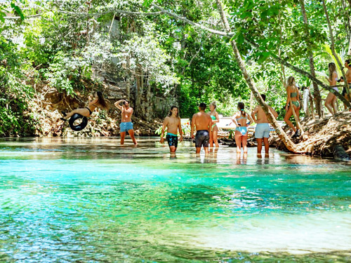 Ocho Rios Ocho Rios Blue Hole, Dunn's River Falls, Lunch and Cocktails at Reggae Hill Cruise Excursion Tickets