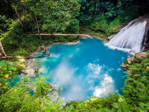 Ochi Rios River Ocho Rios Blue Hole and Dunn's River Falls Excursion with Cocktails and ...