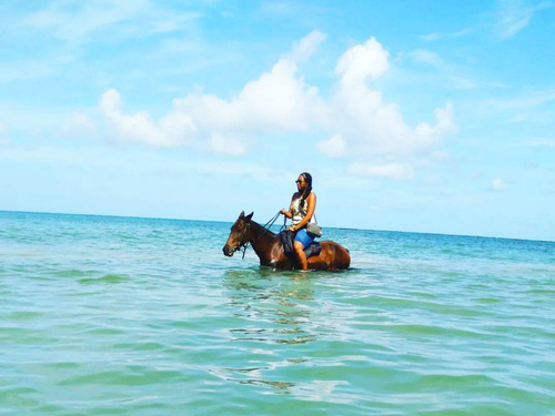 Ocho Rios  Jamaica Horseback Ocean Swim Excursion Reservations
