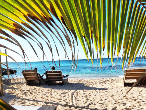 Ocho Rios  Jamaica Bamboo Beach Club Tour Reviews