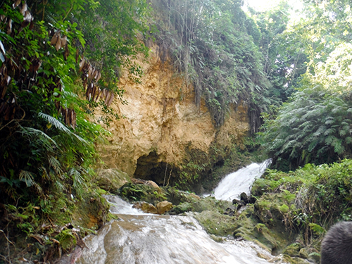 Ocho Rios Jamaica Jungle Sightseeing Trip Cost