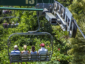 Ocho Rios Mystic Mountain Sky Explorer Chairlift Ride Excursion