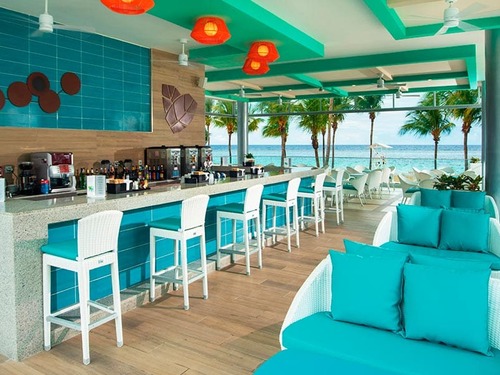 Ocho Rios  RIU Hotel and Waterpark Day Pass Excursion