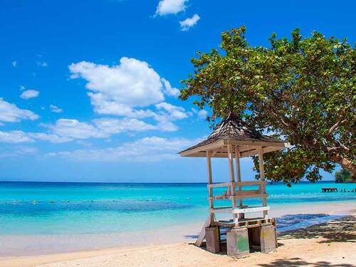 Ocho Rios  RIU Hotel and Waterpark Day Pass Excursion