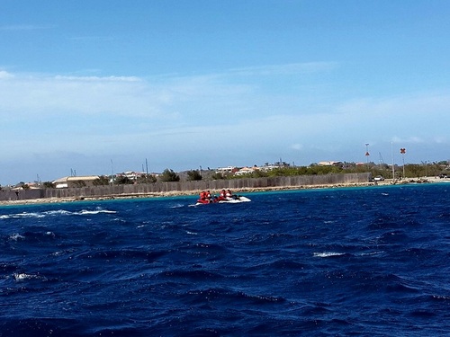 Curacao tugboat wreck snorkel Tour Reviews