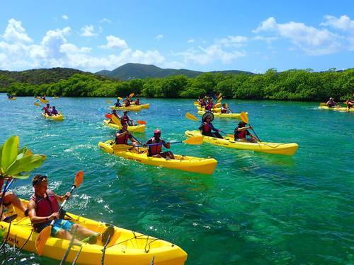 St. Thomas mangrove kayak Trip Tickets