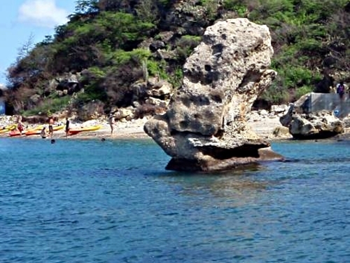 Curacao guided snorkel Excursion Reviews