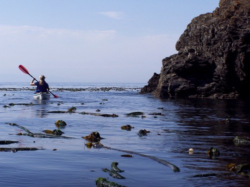 Ensenada  Mexico Kayaks for one or two Tickets