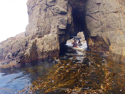 Ensenada Kayaks for one or two Booking